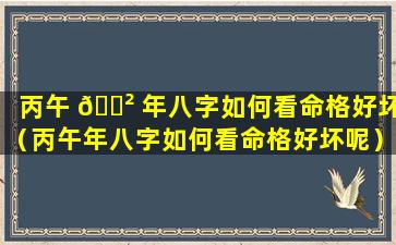 丙午 🌲 年八字如何看命格好坏（丙午年八字如何看命格好坏呢）